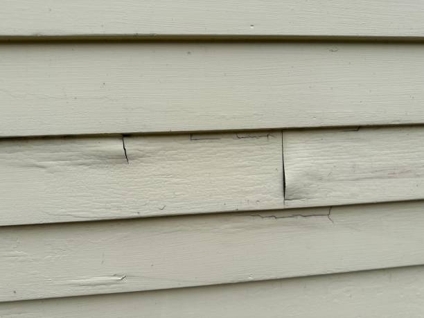 Best Historical Building Siding Restoration  in Boiling Springs, NC